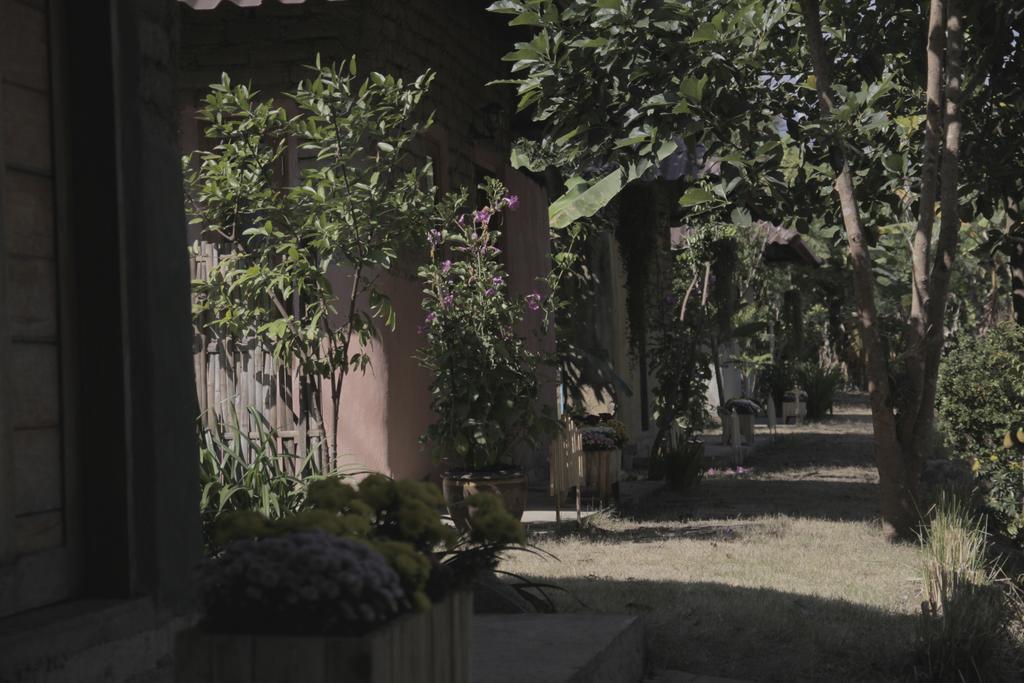 ホテル Monkey House パーイ エクステリア 写真