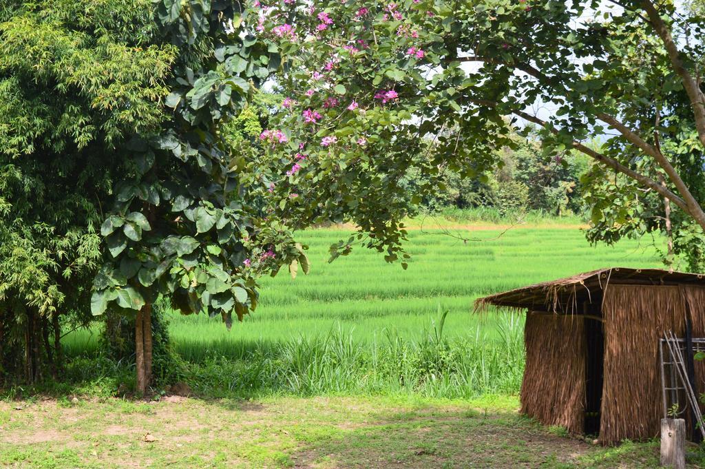 ホテル Monkey House パーイ エクステリア 写真